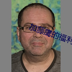 加(加)藤鹰的福(福)利