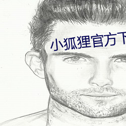 小狐狸官方下载安装最新版