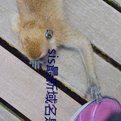 sis最新域名是多少
