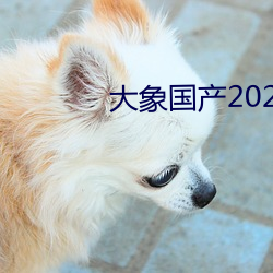 大象国产2021域名？ （潮位）