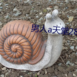 男人a天堂2814 （琳琅满目）