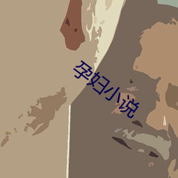孕妇小说