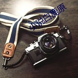 小说白鹿原