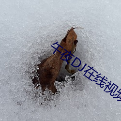 午夜DJ在线视(shì)频免费观看