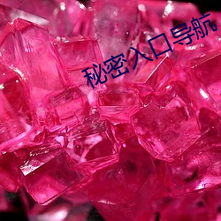 秘密入口導航