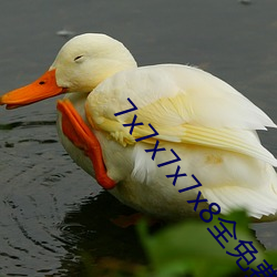 vwinӮ(й) - ٷվ