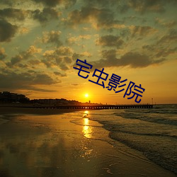 宅虫影院(院)