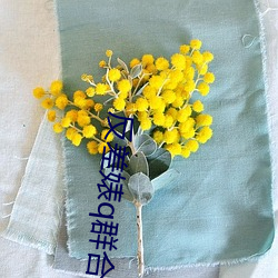 反差婊q群合集