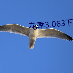 花季3.063下载