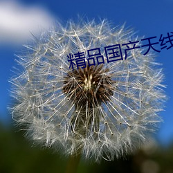 精品(品)国(國)产(産)天(天)线(線)2023