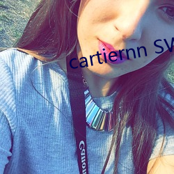 cartiernn SWAG （传输线）