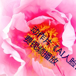 жƬ(pin)AI滻(zho)¶˼(mng)Ƶ(pn)BDƵ(pn)