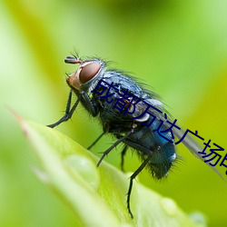 尊龙凯时人生就是搏(中国区)官方网站