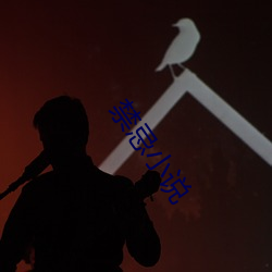 禁忌(忌)小(小)说