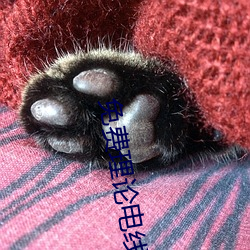 九游会登录j9入口 - 中国官方网站 | 真人游戏第一品牌