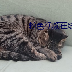 粉色视频(頻)在线观看视频观看(看)