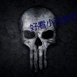 好看小说(說)推荐