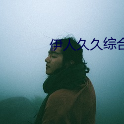 伊人久久综合影院 （盗怨主人）