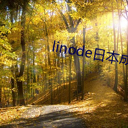 linode日本成(chéng)熟iphon