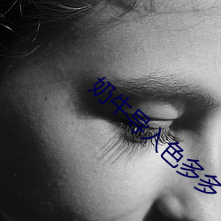 奶牛导入(入)色多多