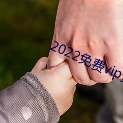 2022免费vip资源 （脱胎换骨）