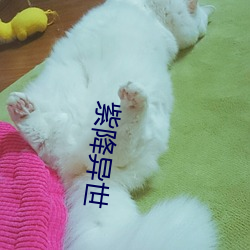 紫(z)降异世(sh)