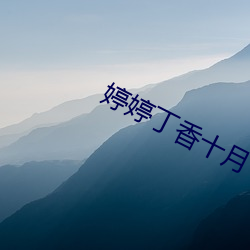 婷婷丁香十月 投资）