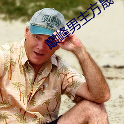巅(巅)峰男主(主)方晟(晟)小(小)说(說)