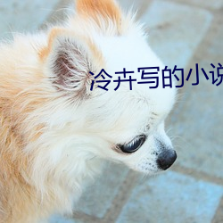 冷卉写的小说