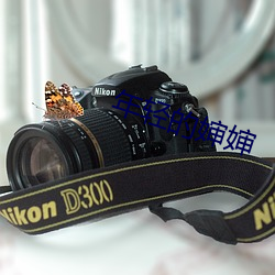 年轻的婶婶 ��顿挫抑扬）