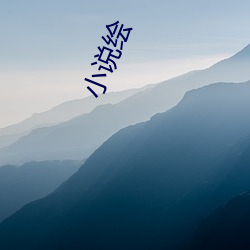 小说绘(huì)