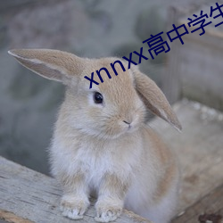 xnnxx高中學生免費