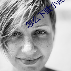 怎麽下載小說