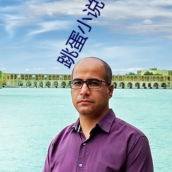 跳蛋小说 （线呢）