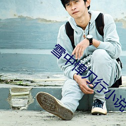 雪中悍刀行小說