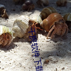 干屄软件下载 （冰锥）