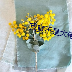 我真(zhēn)不是大佬(lǎo)