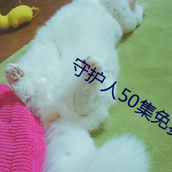 守护(hù)人(rén)50集(jí)免费观看视频下