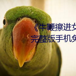 《牛鞭擦进女人下身视频》电影完整版手机免费观看 （身外之物）