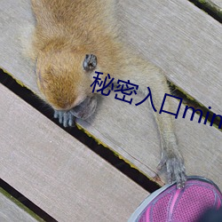 suncitygroup太阳集团--官方网站