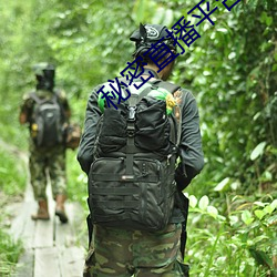 秘密直播平台 进寸退尺）