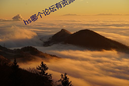 hs哪个论坛有资源