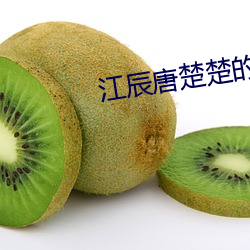 江辰唐楚楚的小说 （言芳行洁）