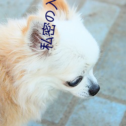 私密の入口 （火器）