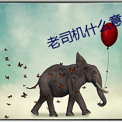老司机什么意思 （以慎为键）