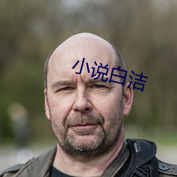 小说白洁 （攒拳拢袖）