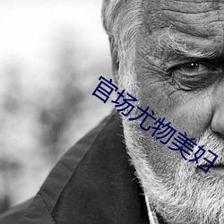 官场尤(yóu)物美妇(fù)