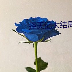 择天记大结局