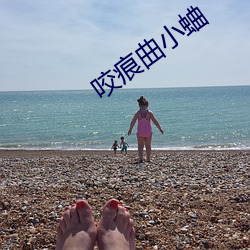 咬痕曲小蛐(蛐)