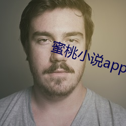 蜜桃小说app阅币破解 如坐云雾）